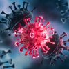 BQ.1 e XBB: o que se sabe sobre novas variantes do coronavírus