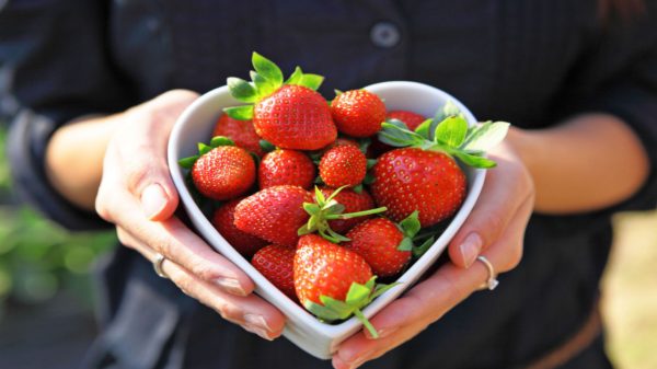 Comer morango todos os dias melhora a saúde do coração, diz estudo